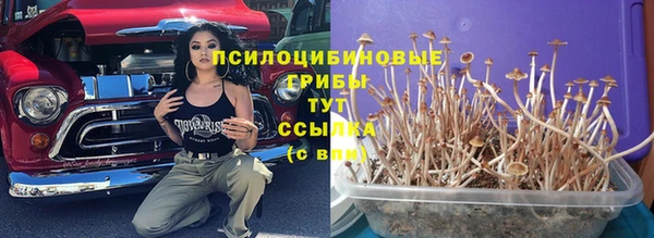 трава Алексеевка